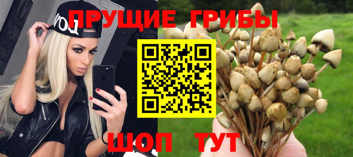 Галлюциногенные грибы MAGIC MUSHROOMS Гусь-Хрустальный