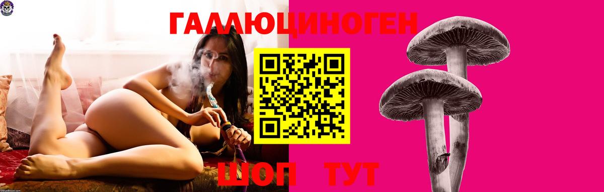 Гусь-Хрустальный  Псилоцибиновые грибы прущие грибы  наркошоп  Вход с VPN 